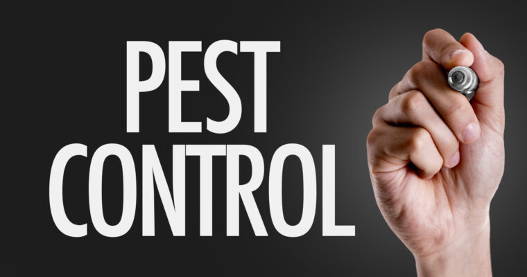 Are you looking for alternative pest control ideas? Read on to learn more about these highly effective pest control methods.