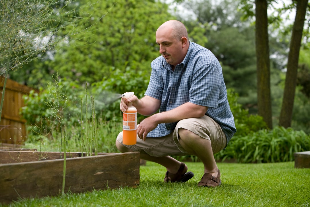 Garden Preparation: How to Get Your Lawn Ready for Summer