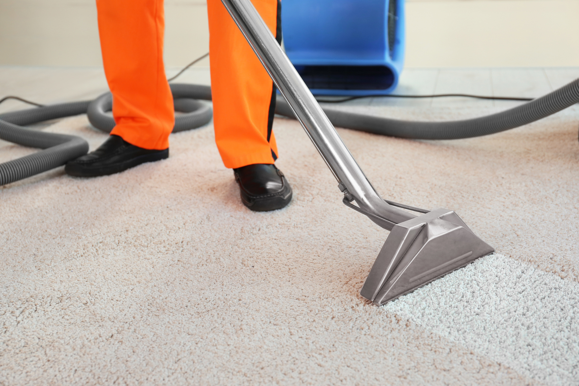 3 Reasons To Hire Carpet Cleaning Services