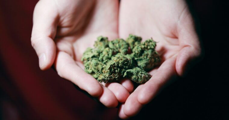 Get the inside scoop on how to start an online dispensary in Canada with 4 tips and the best practices for making sure your business succeeds.