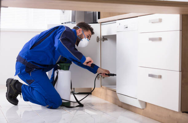 3 Reasons Why Pest Control Is an Essential Service for Businesses Today