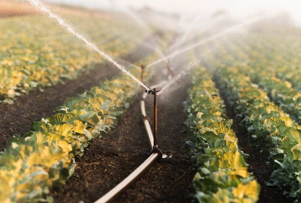 Signs Your Irrigation System Needs Repair