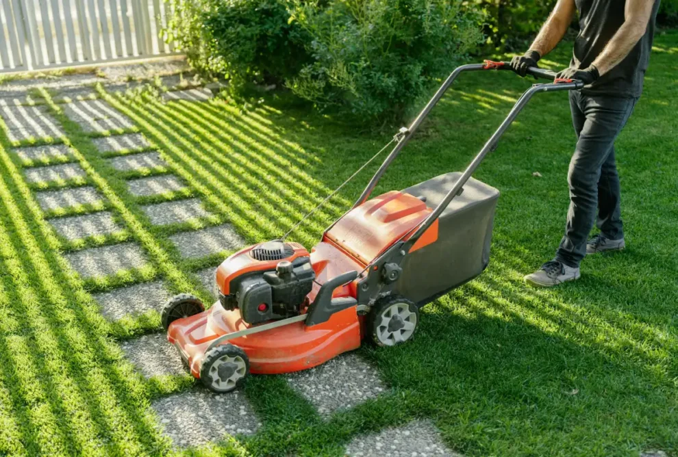 Lawn Care Tips Essential